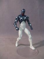 Cosmic Spiderman (Marvel Universe) Custom Action Figure