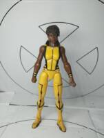 Vixen (DCEU) (DC Multiverse) Custom Action Figure