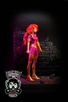 Maxima V.2 (DC Universe) Custom Action Figure