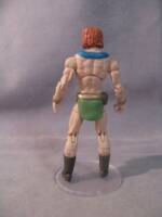 Zandor (Herculoids) Custom Action Figure