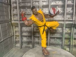 Sean (Street Fighter) (Street Fighter) Custom Action Figure