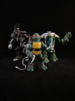 TMNT bros (Teenage Mutant Ninja Turtles) Custom Action Figure