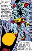 Colossus (Limbo) (Marvel Universe) Custom Action Figure