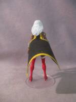 Wonder Woman (Amazon) (Amalgam) Custom Action Figure