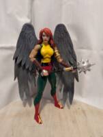 Hawkgirl (DC Universe) Custom Action Figure