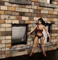 Wonder Woman (Wonder Woman) Custom Action Figure