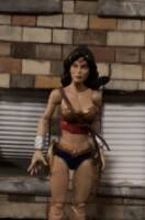 Wonder Woman (Wonder Woman) Custom Action Figure