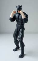 Wildcat Ted Grant (JSA) (DC Multiverse) Custom Action Figure