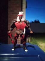 Sho Nuff (Old Man Shogun of Harlem) (Last Dragon) Custom Action Figure