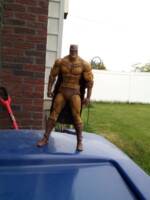 Catman (DC Universe) Custom Action Figure