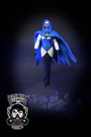 Blue Lantern Sister Sercy (DC Universe) Custom Action Figure