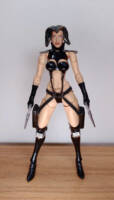 Aeon Flux (Aeon Flux) Custom Action Figure