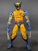 Wolverine (Marvel Zombies) (Marvel Legends) Custom Action Figure
