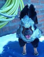 Dariuel The Dreaded with Periclid The Combative Caninenite (Original) Custom Action Figure