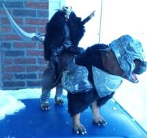 Dariuel The Dreaded with Periclid The Combative Caninenite (Original) Custom Action Figure