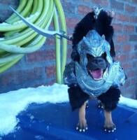Dariuel The Dreaded with Periclid The Combative Caninenite (Original) Custom Action Figure