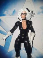 Black Cat (Marvel Legends) Custom Action Figure
