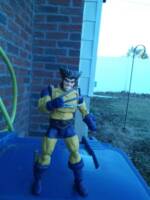 Wolverine (Marvel Universe) Custom Action Figure