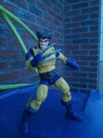 Wolverine (Marvel Universe) Custom Action Figure