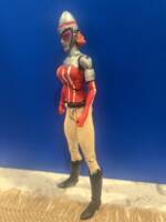 Bulleteer (DC Universe) Custom Action Figure