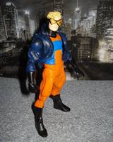 Animal Man (DC Universe) Custom Action Figure