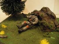 Behind Enemy Lines (Diorama) Custom Action Figure