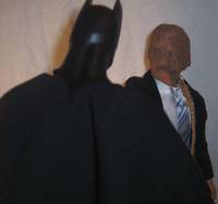 Scarecrow (Movie Ver.) (Batman Begins) Custom Action Figure