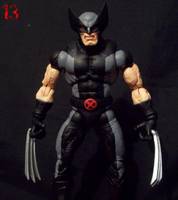 Wolverine (Marvel Legends) Custom Action Figure