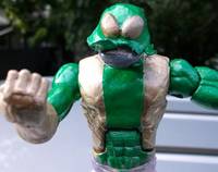 Cosmic Conquerer (DC Superheroes) Custom Action Figure