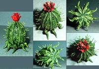 Cacatac (Metroid) Custom Miniature / Figurine