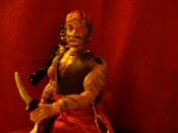Corsair of Umbar(LOTR) (Lord of the Rings) Custom Action Figure