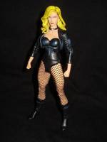Black Canary DCUC (DC Universe) Custom Action Figure