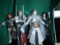 Grey Warden (Warrior Class) (Fantasy) Custom Action Figure