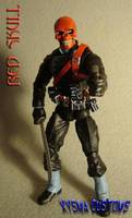Red Skull V2 (Marvel Legends) Custom Action Figure