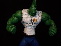 Savage Dragon (Savage Dragon) Custom Action Figure