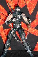 Ninja Master ! (Ninja Gaiden) Custom Action Figure