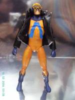 Animal Man (DC Direct) Custom Action Figure