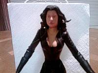 DC Legends Selina Kyle (Batman) Custom Action Figure