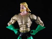 Dcuc Aquaman Bearded Version (DC Universe) Custom Action Figure