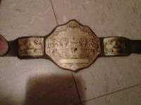 Wrestling Belts.. (Wrestling) Custom Action Figure