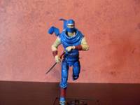 Ryu Hayabusa (Ninja Gaiden) Custom Action Figure