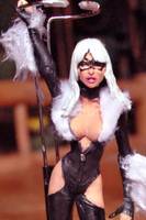 Black Cat Avengers (Avengers) Custom Action Figure