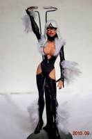 Black Cat Avengers (Avengers) Custom Action Figure