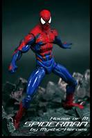 Spider-Man House of M Costume (Spider-Man) Custom Action Figure