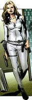 Shield Agent 13 Sharon Carter (Marvel Legends) Custom Action Figure