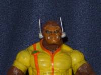 Apeman and Dragonfly (Animen) (Marvel Legends) Custom Action Figure