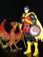 Pheonix (What if Robin Happened before Batman?) (DC Universe) Custom Action Figure
