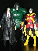 Pheonix (What if Robin Happened before Batman?) (DC Universe) Custom Action Figure