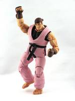 Dan Hibiki (Street Fighter) Custom Action Figure