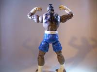 Bruce Irvin (Tekken 5) Custom Action Figure